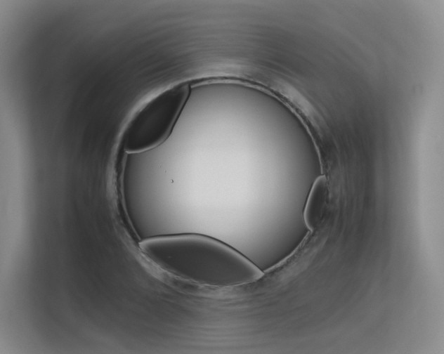 X0000113241072200909100918