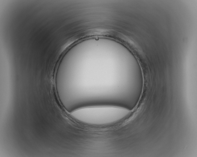 X0000113241073200909100918
