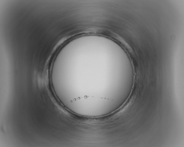 X0000113241075200909100918