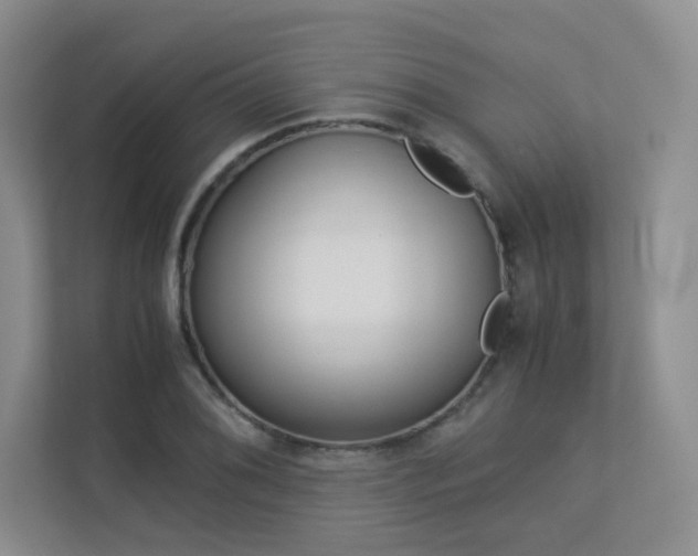 X0000113241076200909100918