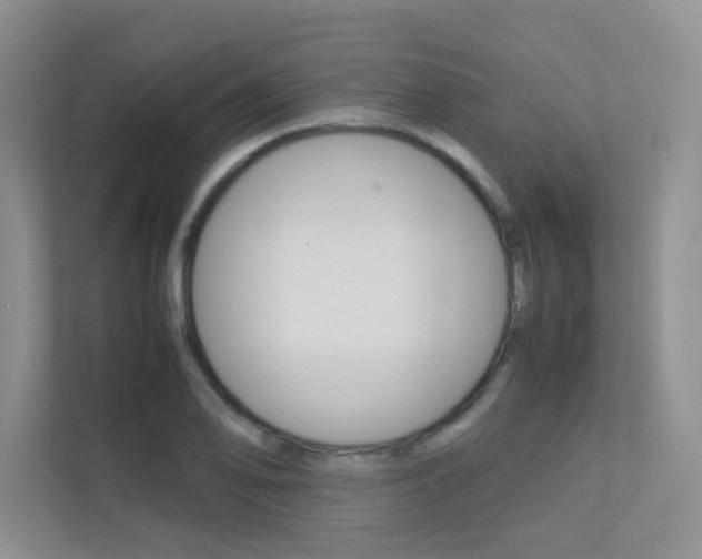 X0000113241078200909100918