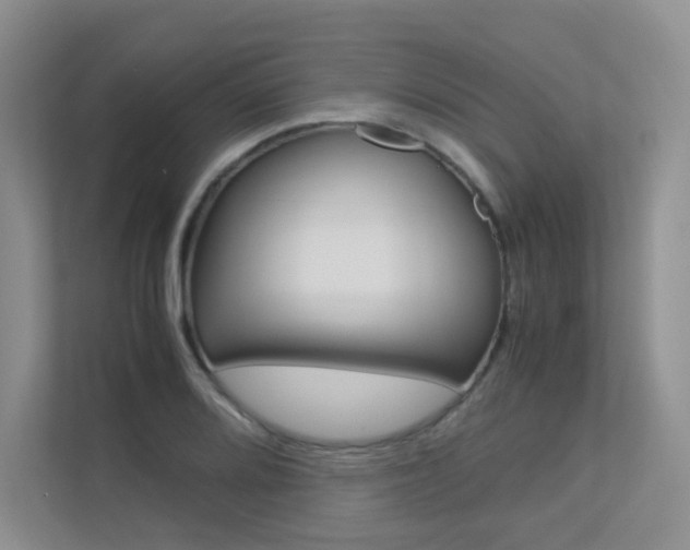 X0000113241080200909100918