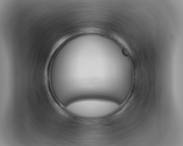 X0000113241082200909100918