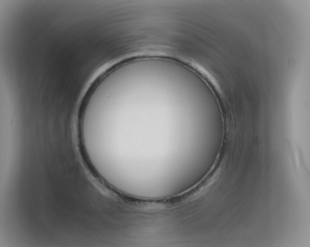 X0000113241085200909100918