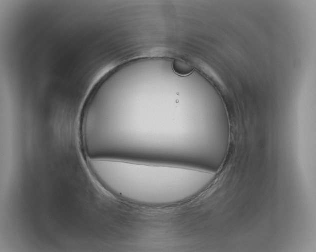 X0000113241087200909100918