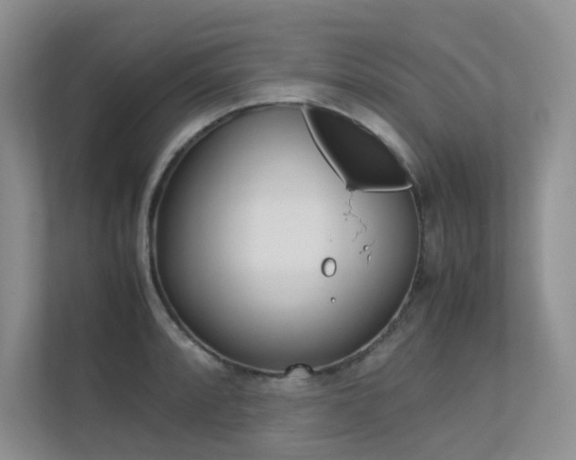 X0000113241088200909100918