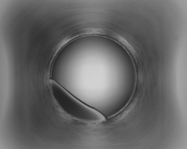 X0000113241089200909100918