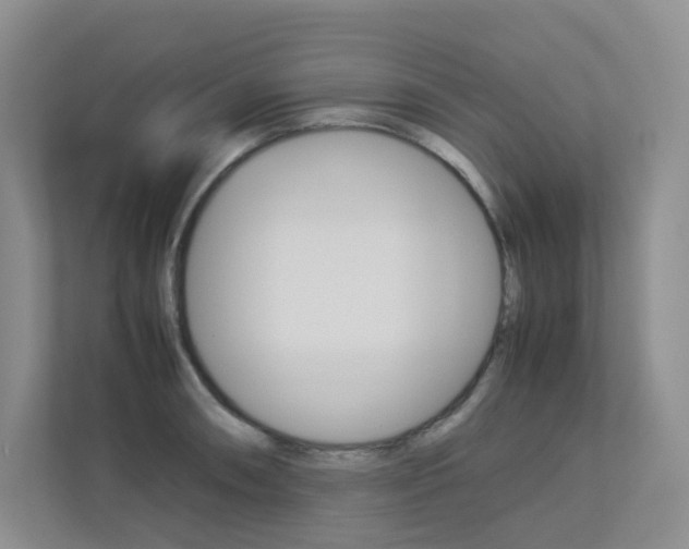 X0000113241090200909100918