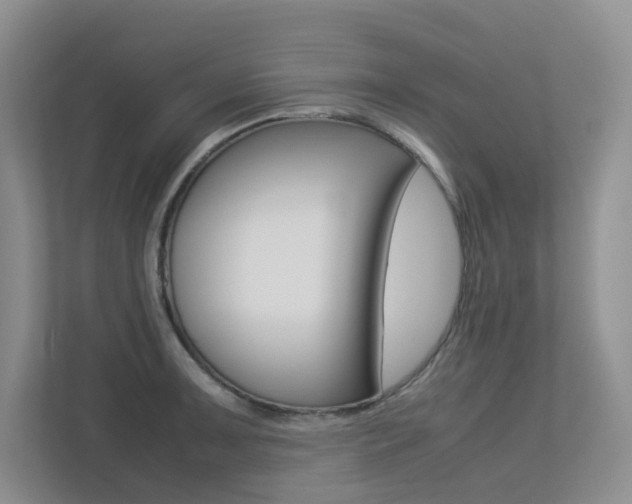 X0000113241091200909100918