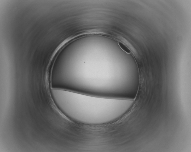 X0000113241092200909100918