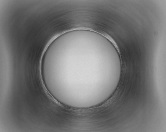 X0000113241096200909100918