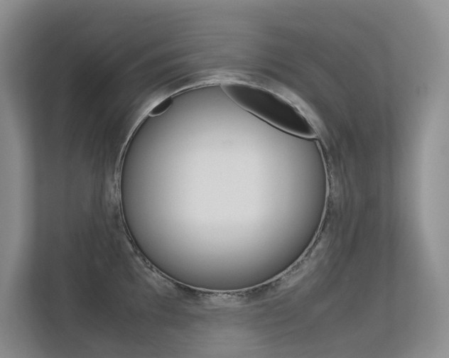 X0000113241097200909100918