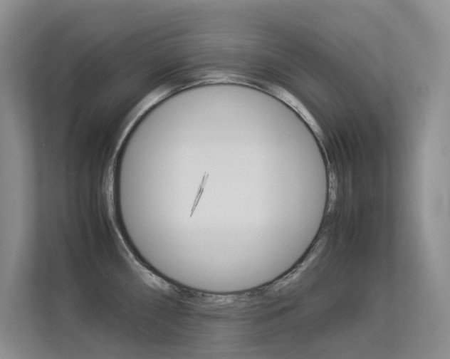 X0000113241098200909100918