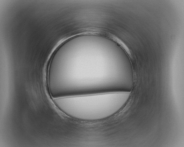 X0000113241099200909100918