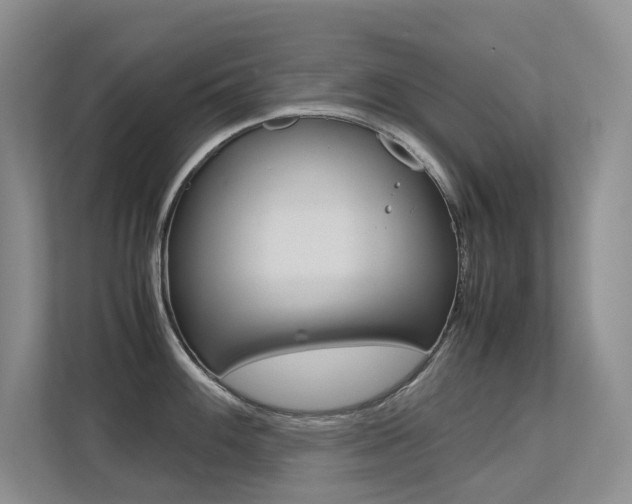 X0000113241100200909100918