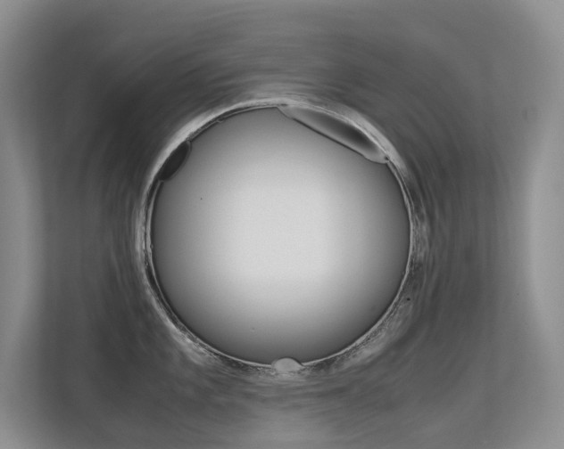 X0000113241101200909100918