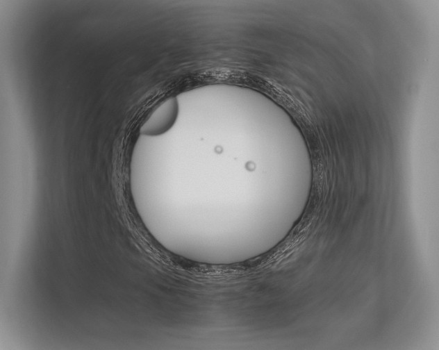 X0000113241105200909100917