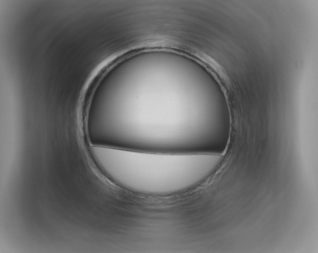 X0000113241120200909100917