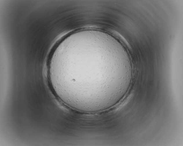 X0000113241125200909100917
