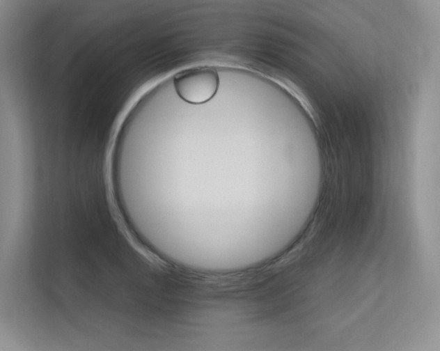 X0000113241128200909100917