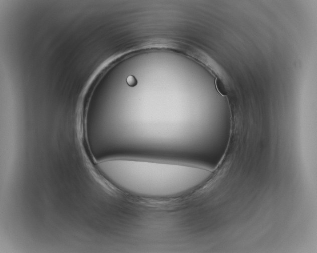 X0000113241132200909100917