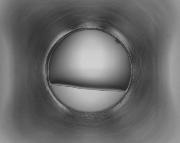 X0000113241141200909100917