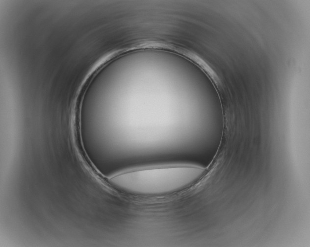 X0000113241142200909100917