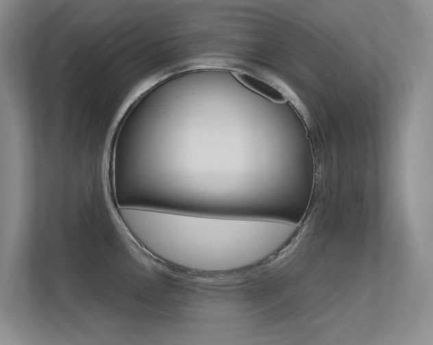 X0000113241146200909100918