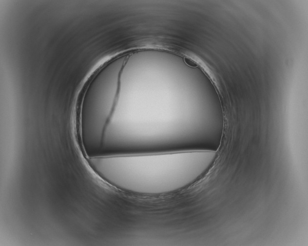 X0000113241147200909100918