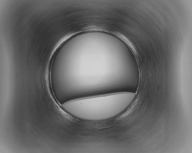 X0000113241149200909100918