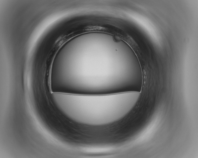 X0000113241151200909100918