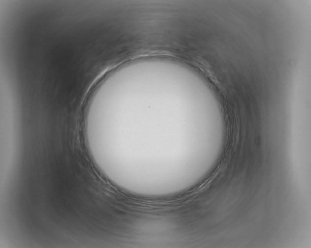 X0000113241165200909100917