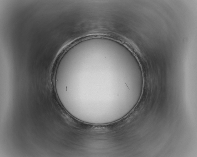 X0000113241168200909100917