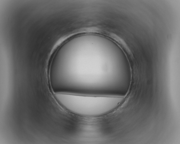 X0000113241176200909100917