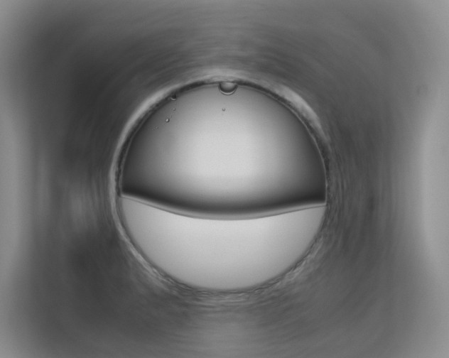 X0000113241183200909100917