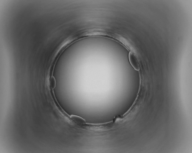 X0000113241189200909100917