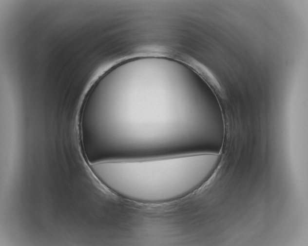 X0000113241192200909100916