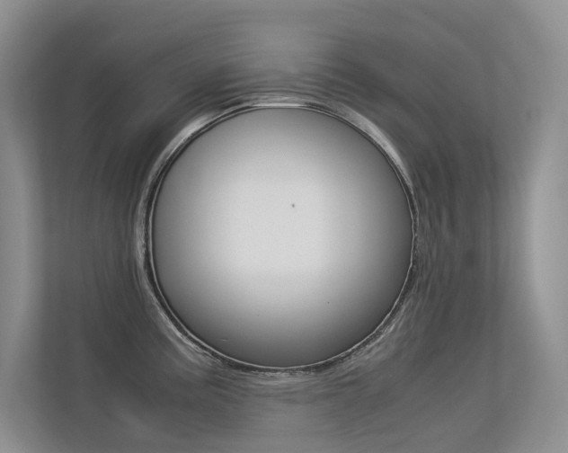 X0000113241195200909100916