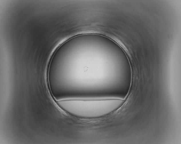 X0000113241197200909100916