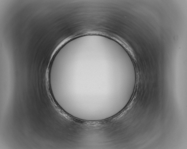 X0000113241198200909100916