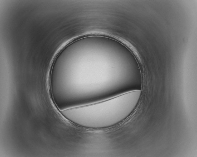 X0000113241199200909100916