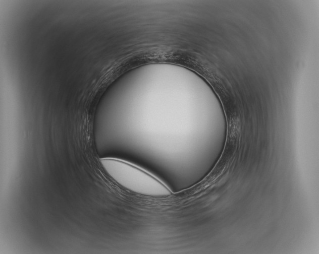 X0000113241202200909100916