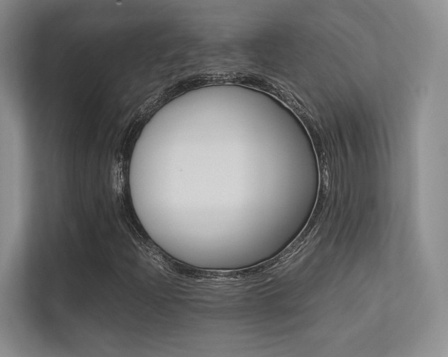 X0000113241204200909100916