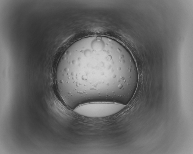 X0000113241205200909100916