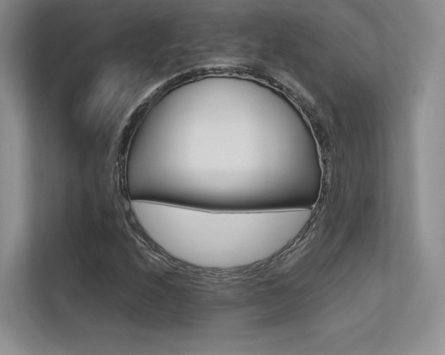 X0000113241208200909100916
