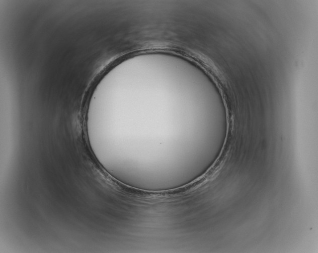 X0000113241212200909100916