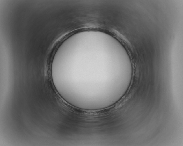 X0000113241215200909100916