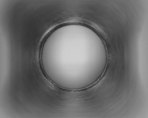 X0000113241216200909100916