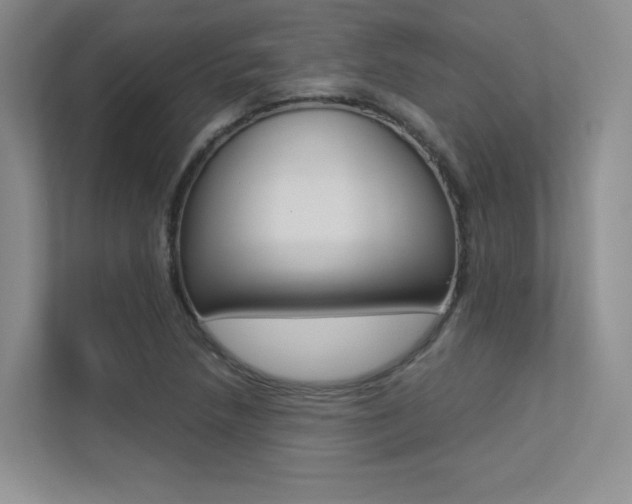 X0000113241218200909100916