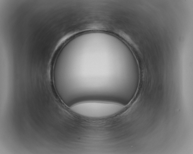 X0000113241222200909100916
